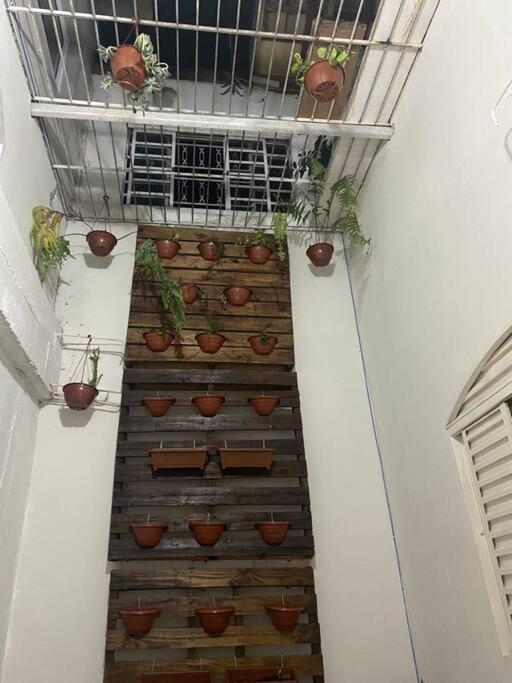 Casa S Benedito Familiar -6Min Basilica Aparecida Апаресида Екстериор снимка